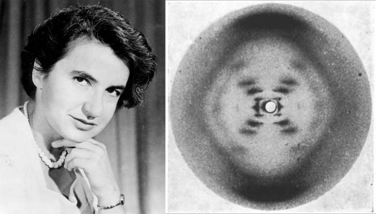 Rosalind Franklin (1920-1958), British chemist. Pioneer molecular ...